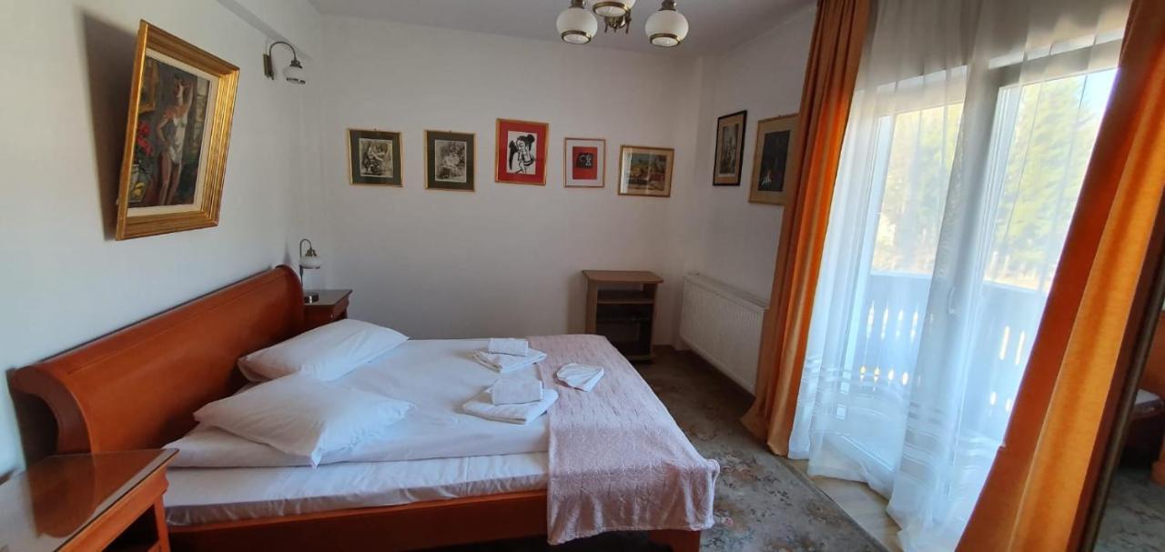 Pensiunea Alpin Predeal Exterior foto